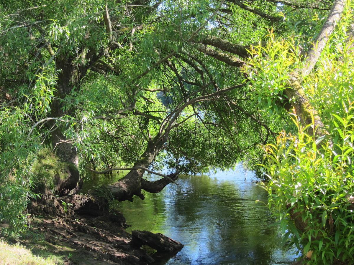 On The River Tamahere Extérieur photo